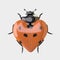 Ladybug - Heart shaped Ladybug