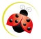 Ladybug icon