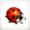 Ladybug icon