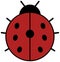 Ladybug icon. Ladybird clipart