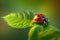 Ladybug insect closeup macro. Generative AI