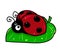 Ladybug insect leaf illustration animal character