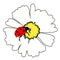 the is ladybug insect nature on daisy flower. vector illustration