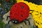 Ladybug made from flowers