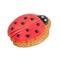 Ladybug made from gingerbread, close up, white background