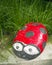 Ladybug made of stone. Decoration for the garden do it yourself. Reuse plastic. A handicraft of waste