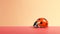 A ladybug perched on a vibrant pink surface