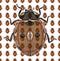 Ladybug Photo Pattern