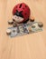 Ladybug Piggy Bank with Money