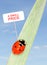 Ladybug price