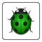 Ladybug realistic cartoon icon