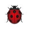 Ladybug red cartoon icon realistic