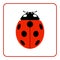 Ladybug red cartoon icon realistic