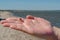 Ladybug with red wings and black dots sits on outstretched palm of woman hand on blurred background of gray sandy beach and sea