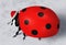 Ladybug with Santa Claus hat