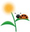 Ladybug sits on a dandelion leaf and smiles, vector, illustration