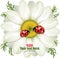 Ladybug sitting on White Daisy, design