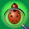 Ladybug under magnifying glass on green background