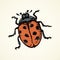 Ladybug. Vector drawing