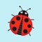 Ladybug vector illustration in flat style