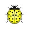 Ladybug yellow realistic cartoon icon