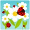 Ladybugs and flowers. Vector illustration