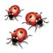 Ladybugs illustration.