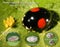 Ladybugs (ladybirds) Harmonia axyridis