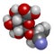 Laetrile molecule. Derivative of amygdalin. Used in quack cancer treatment. 3D rendering. Atoms are represented as spheres with