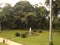 Lage Park Fountain Rio de Janeiro Brazil