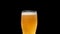 Lager Beer closeup. Cold beer isolated on matte black background. Glass of beer with water drops and bubble