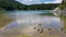 Laghi di Fusine - Group of ducks swimming with scenic view of Superior Fusine Lake (Laghi di Fusine) in Tarvisio