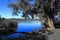 LAGO DI VARESE CON ALBERO E ACQUA