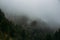 Lago Naki mountains in fog, Green trees covered with thick mist, foggy morning in mountains