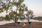 Lagoon camp site in far outback Queensland.