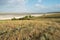 Lagoon estuary Molochnyi liman landscape grass path road clouds blue sky