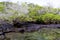 Lagoon on Fernandina Island  832750