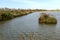 Lagoon green dams at nature oasis, Volano, Italy