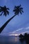 Lagoon, hotel, beach and coconut three polynesia