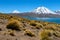 Lagoon Miscanti, lake high in the Andes Mountains in the Atacama Desert, northern Chile, South America