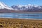 Lagoon Miscanti, lake high in the Andes Mountains in the Atacama Desert, northern Chile, South America