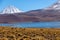 Lagoon Miscanti, lake high in the Andes Mountains in the Atacama Desert, northern Chile, South America