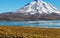 Lagoon Miscanti, lake high in the Andes Mountains in the Atacama Desert, northern Chile, South America