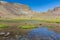 Lagoon surrounded by grass