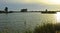 Lagoon of Tarelo and marshes of Bonanza in the National Park of DoÃ±ana, southern Spain