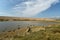 Lagoon under Chesil Beach