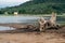 Lagoon VÃ¡rzea das Flores, with the rest of a tree trunk on the shore, buildings and mountains in the background.