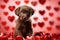 Lagotto Romagnolo Puppy with Red Heart-Shaped Decorations and Dreamy Bokeh Background. Valentine day