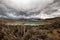 Laguna Amarga in Torres Del Paine