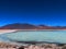 Laguna Blanca en Bolivia